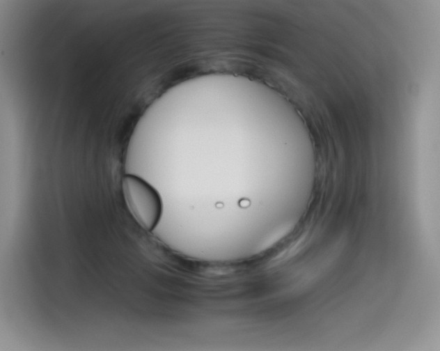 X0000114600749200910191054
