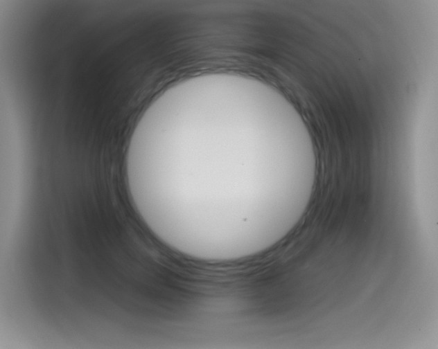 X0000114600750200910191054