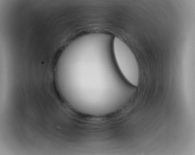 X0000114600751200910191054