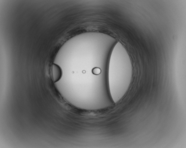 X0000114600755200910191054