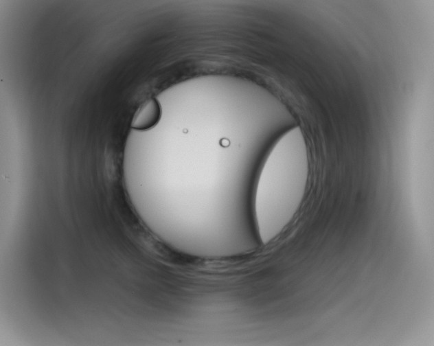 X0000114600758200910191054