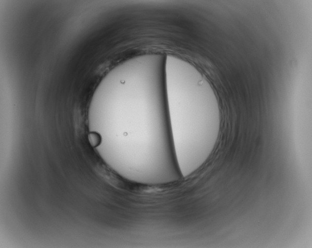 X0000114600759200910191054
