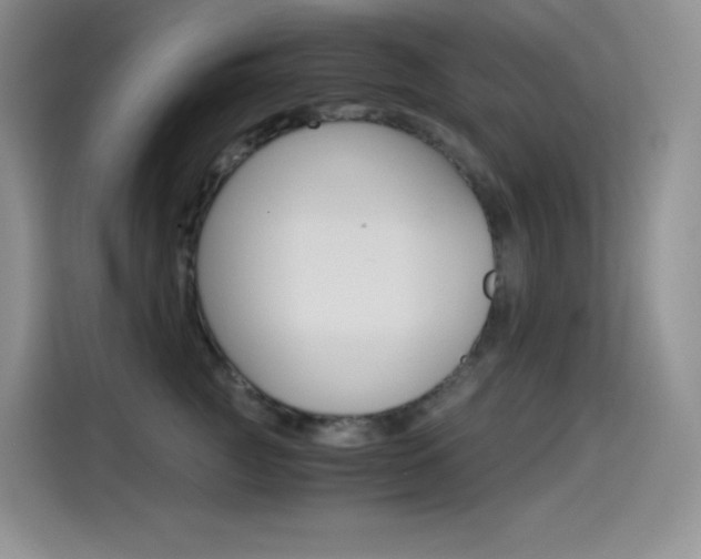 X0000114600761200910191054
