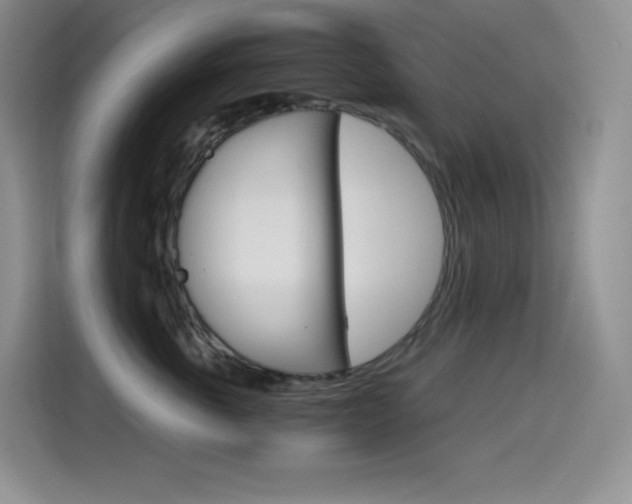 X0000114600763200910191054