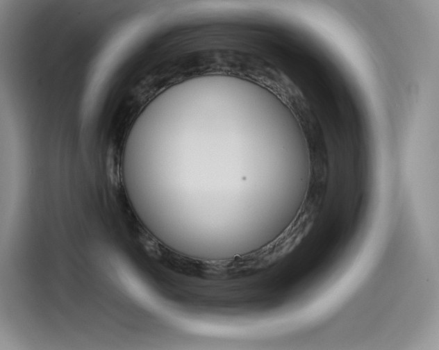 X0000114600766200910191054