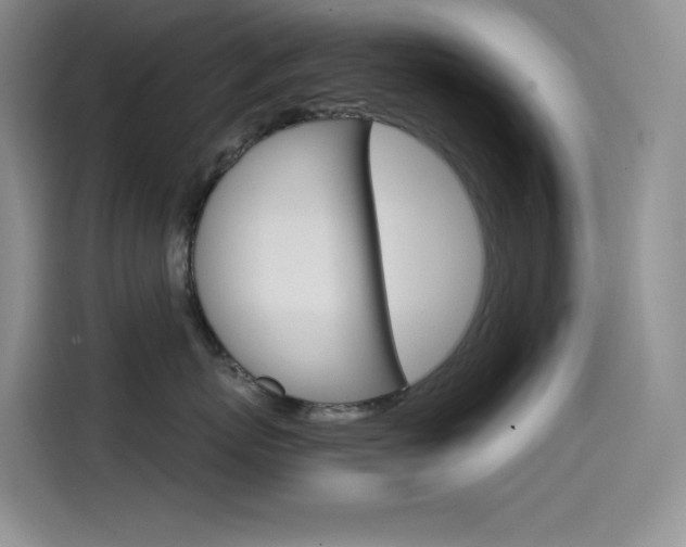 X0000114600767200910191054