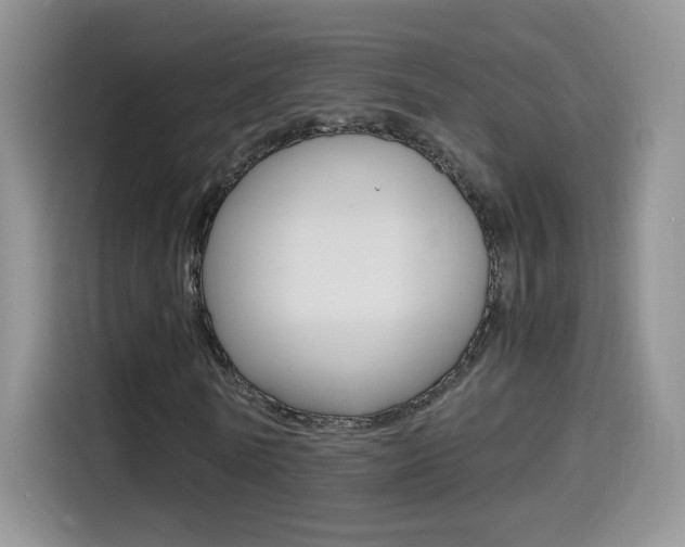 X0000114600770200910191053