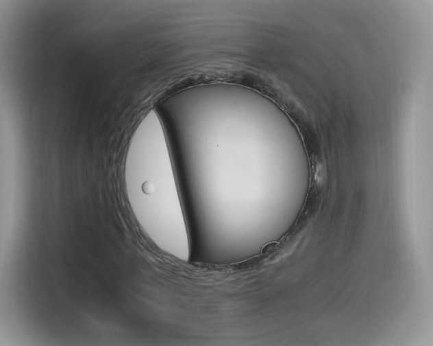X0000114600771200910191053