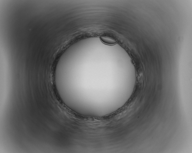 X0000114600772200910191053