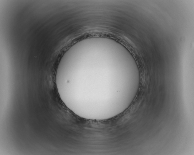 X0000114600774200910191053