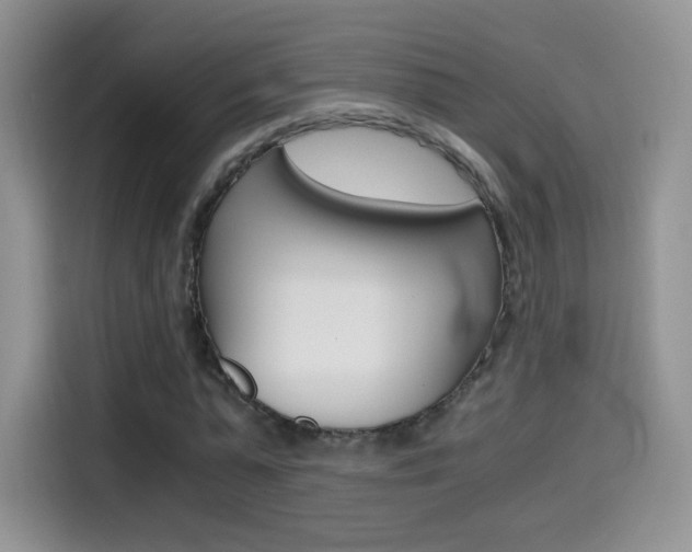 X0000114600775200910191053