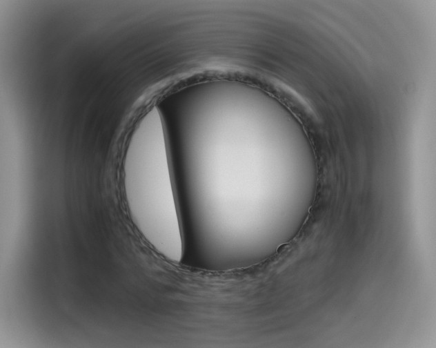 X0000114600776200910191053