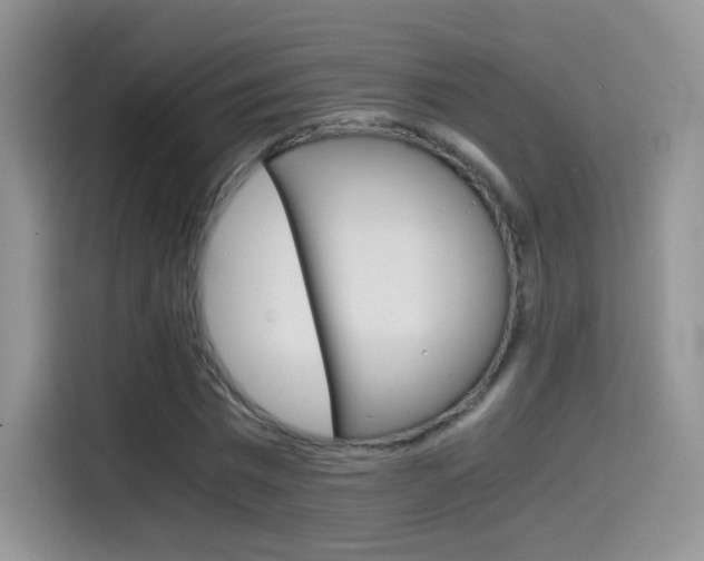 X0000114600777200910191053