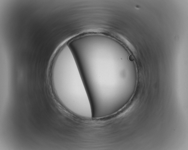 X0000114600779200910191053