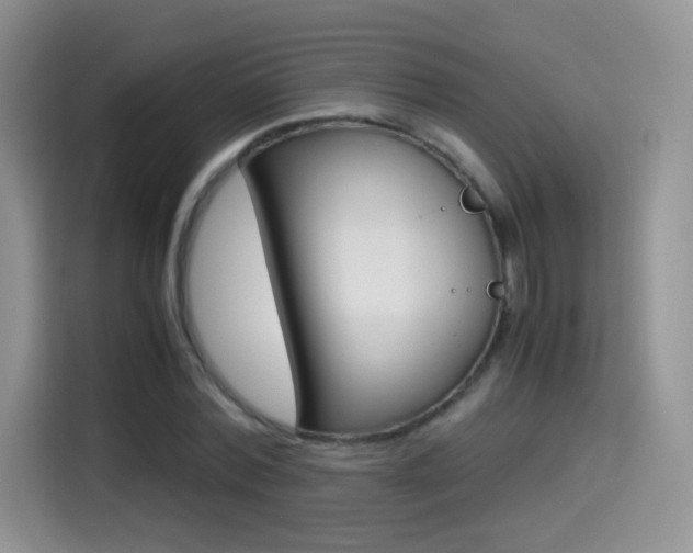 X0000114600780200910191053