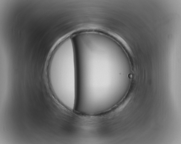 X0000114600783200910191053