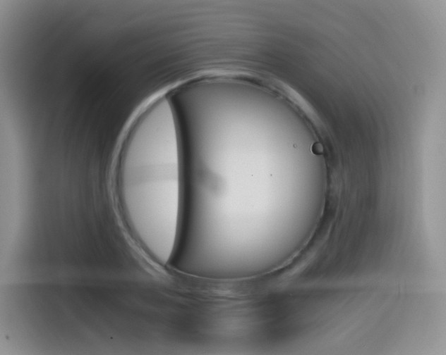 X0000114600787200910191053