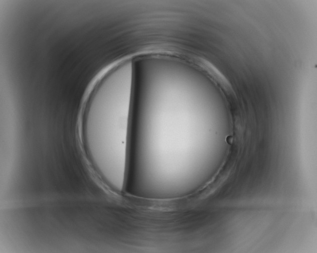 X0000114600788200910191053