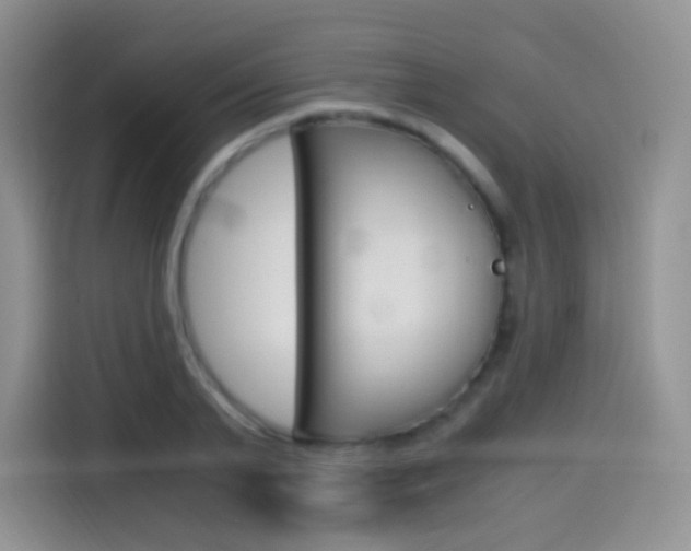 X0000114600791200910191053