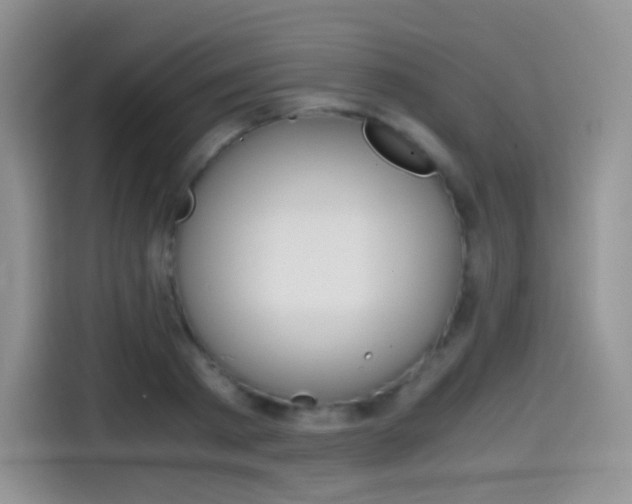 X0000114600793200910191053