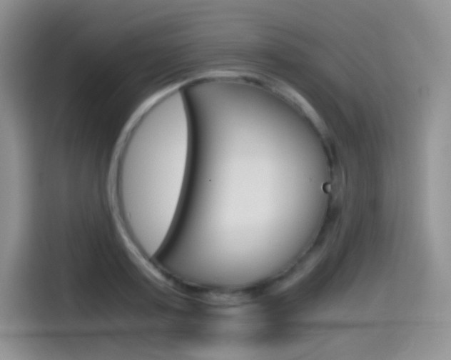 X0000114600795200910191053