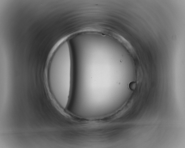 X0000114600796200910191053