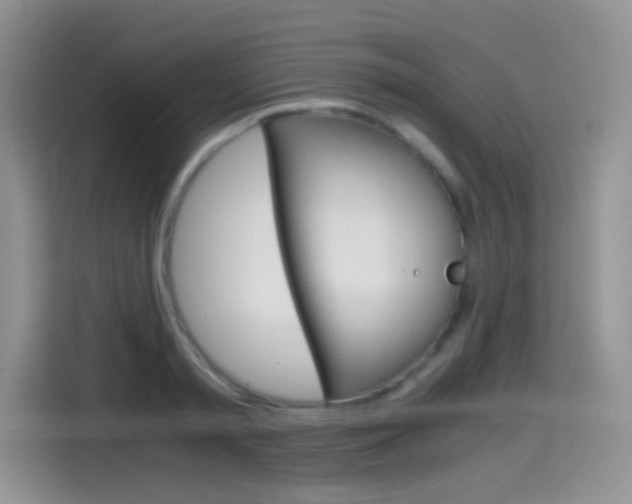 X0000114600797200910191053