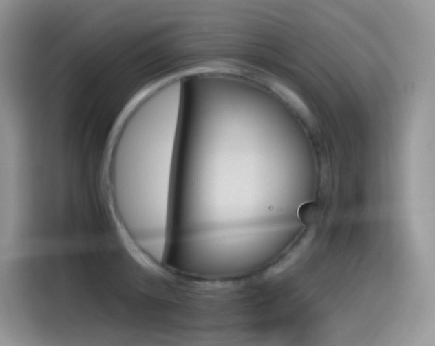 X0000114600800200910191053