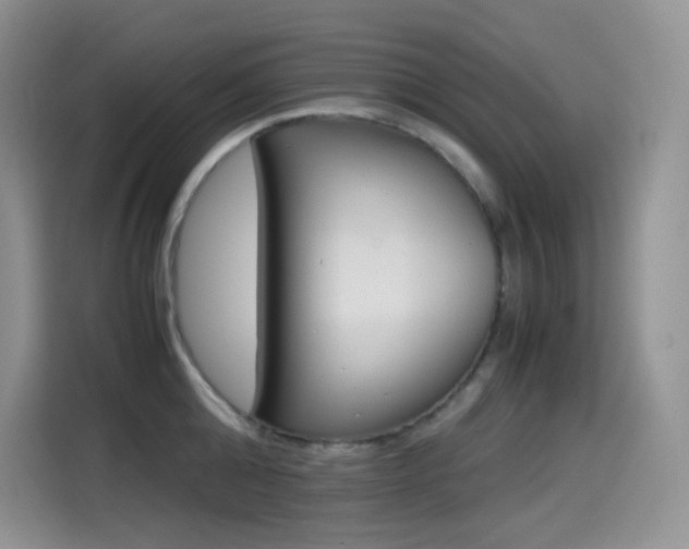 X0000114600808200910191053
