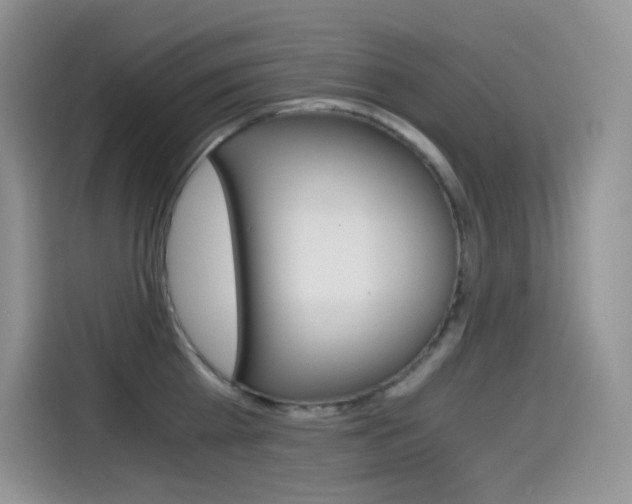 X0000114600809200910191053