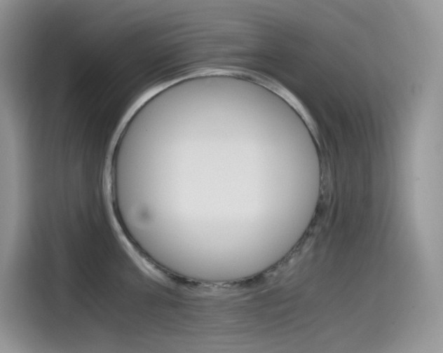 X0000114600811200910191053