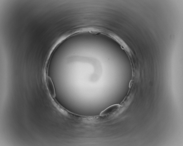 X0000114600813200910191053