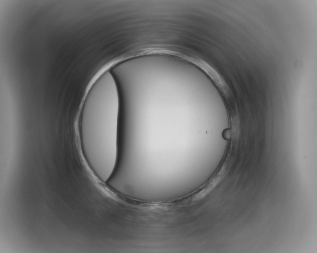 X0000114600814200910191053