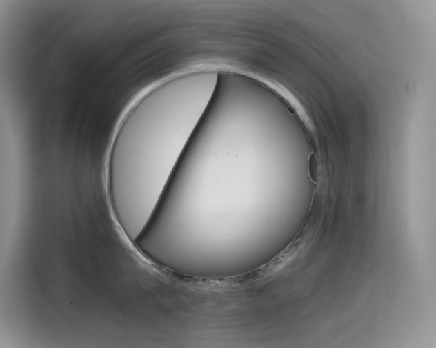 X0000114600815200910191053