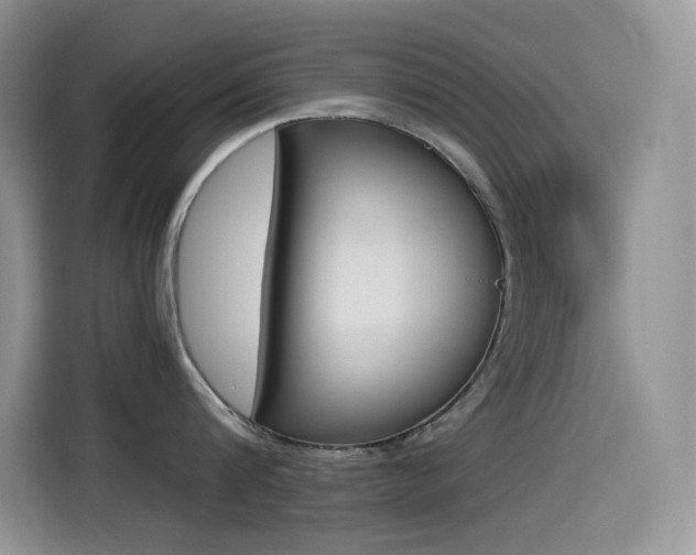 X0000114600816200910191053