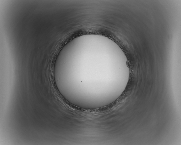 X0000114600817200910191052