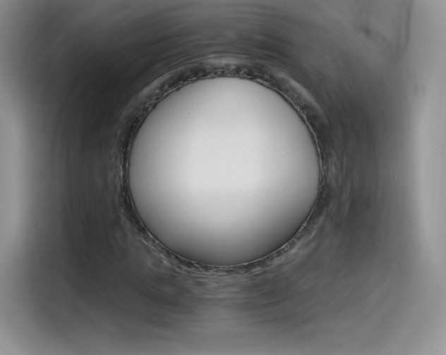 X0000114600821200910191052