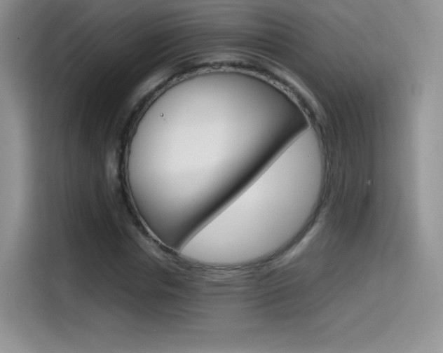 X0000114600826200910191052