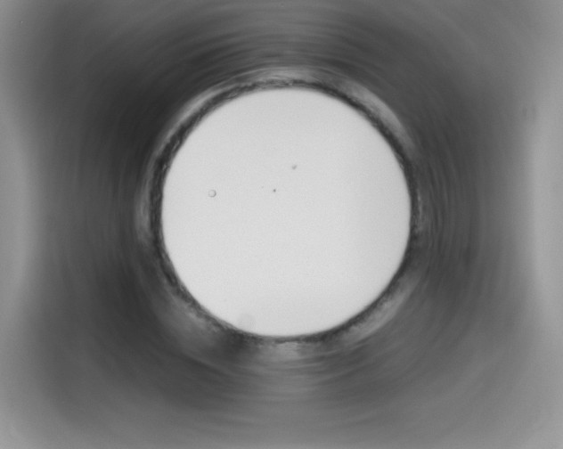 X0000114600828200910191052