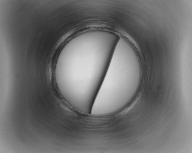 X0000114600829200910191052