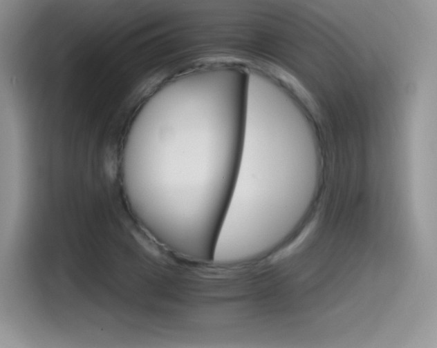 X0000114600833200910191052