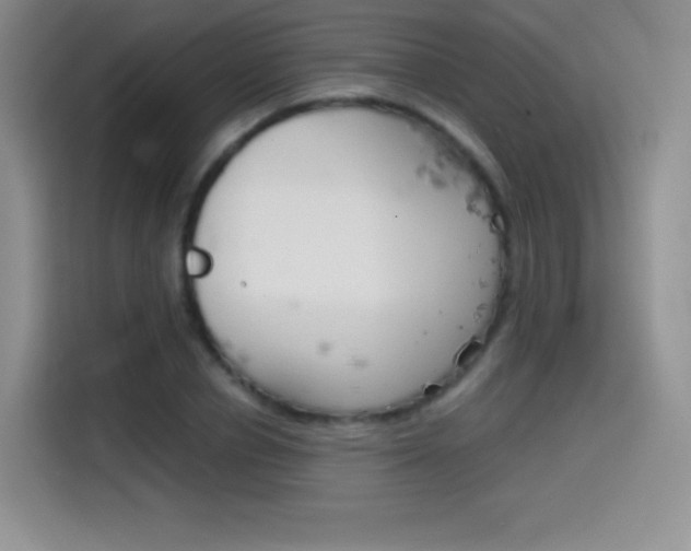 X0000114600834200910191052