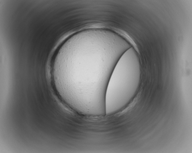 X0000114600835200910191052