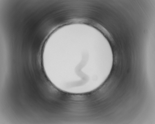 X0000114600836200910191052