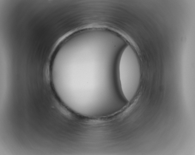 X0000114600838200910191052