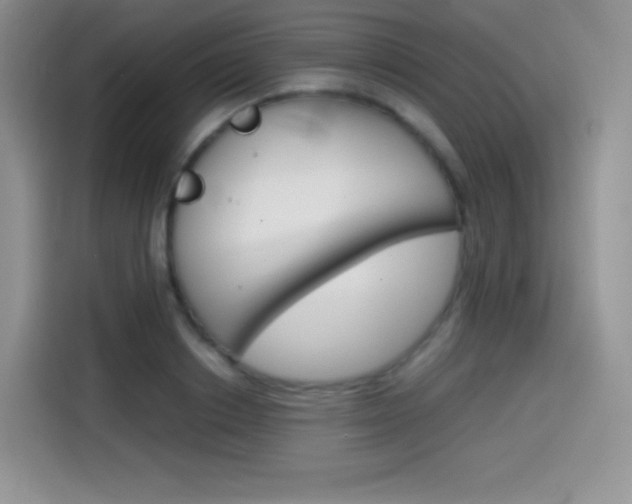 X0000114600842200910191052