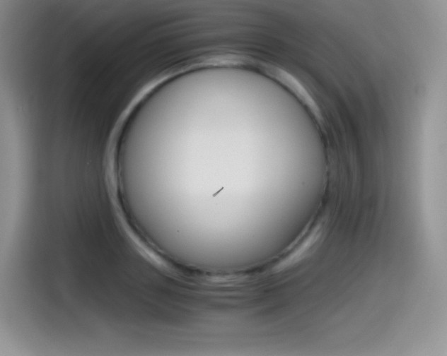 X0000114600843200910191052