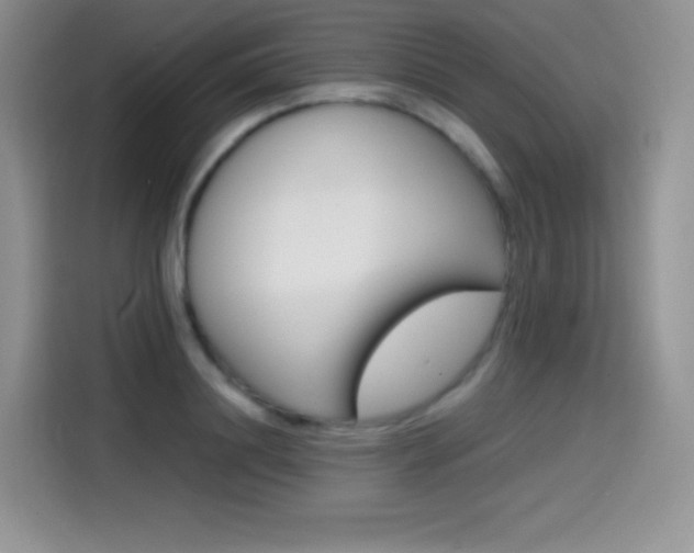 X0000114600844200910191052