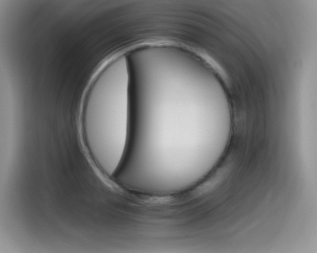X0000114600845200910191052