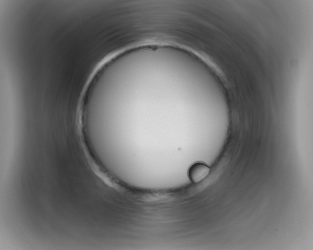 X0000114600846200910191052